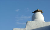 Sifnos flaros